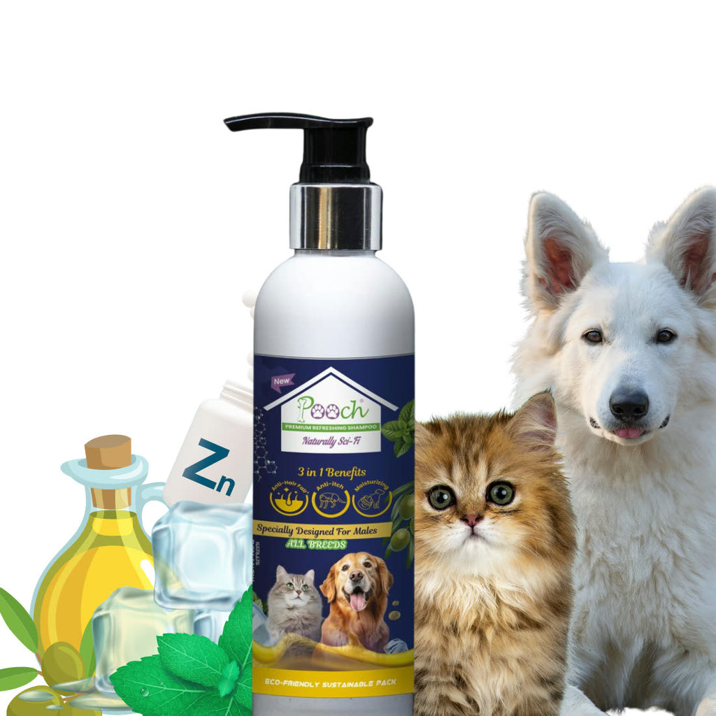 Pooch Refreshing Male Shampoo - 200ml