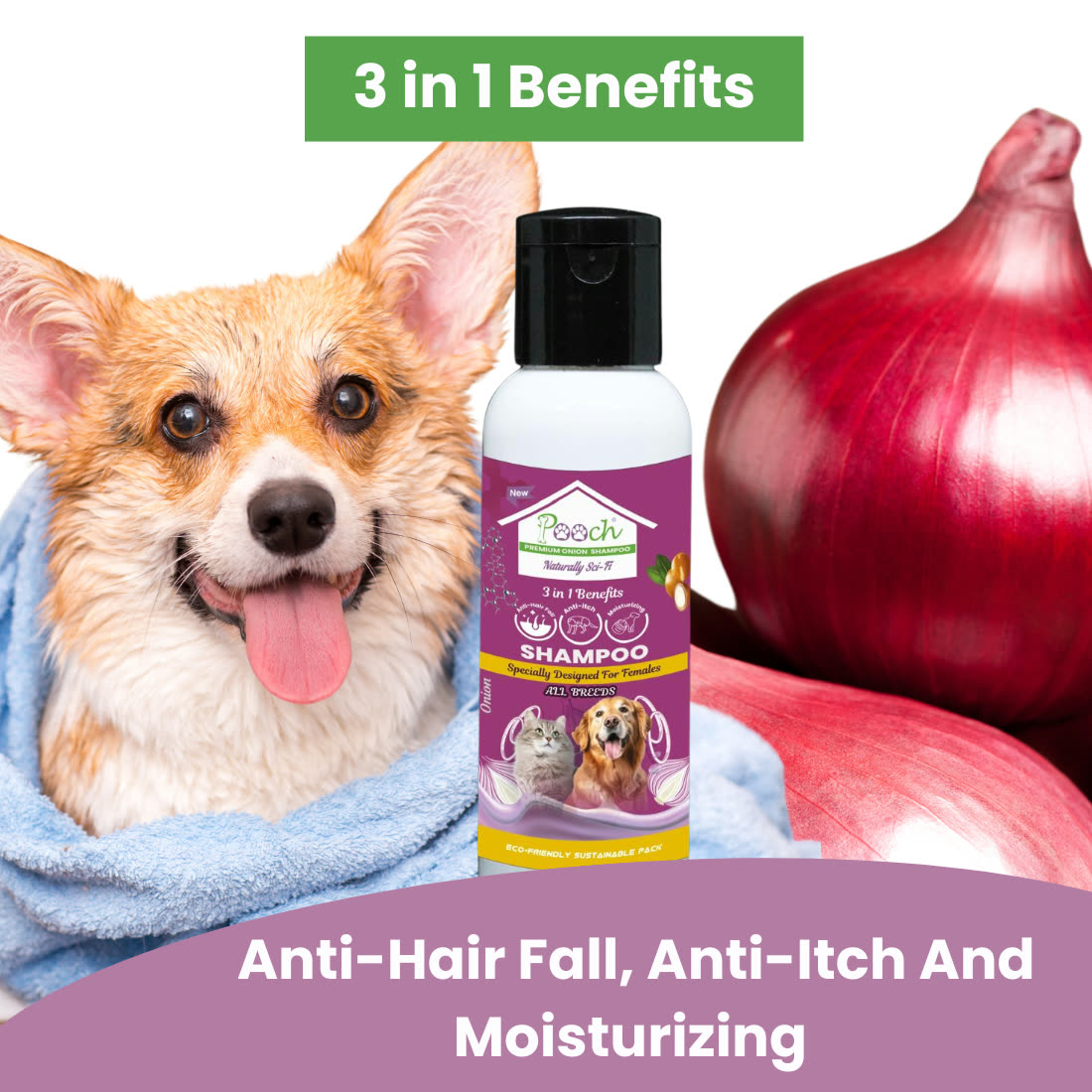 Pooch Onion Shampoo (Female) - 50ml