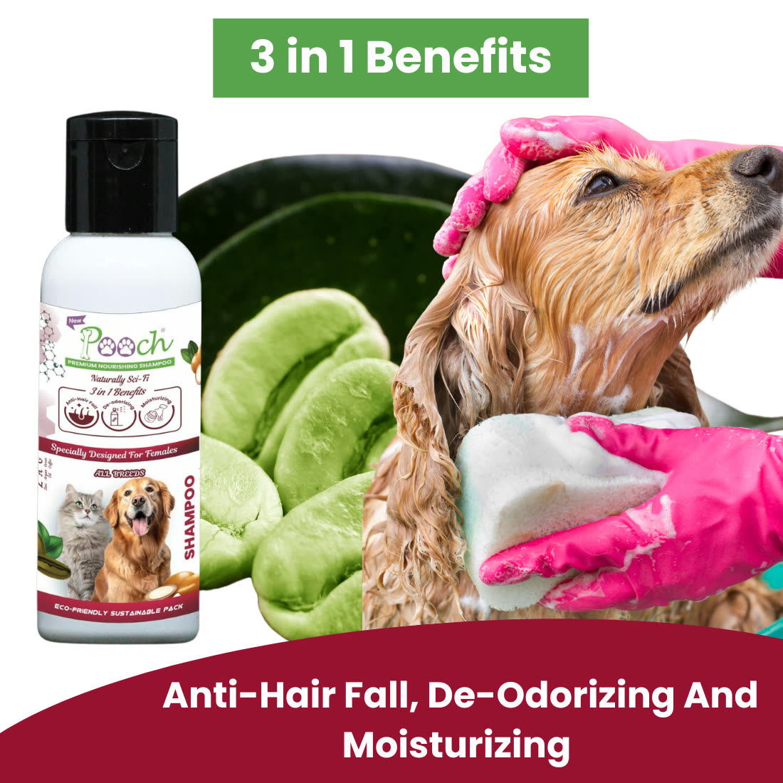 Pooch Nourishing Female Shampoo - 50ml