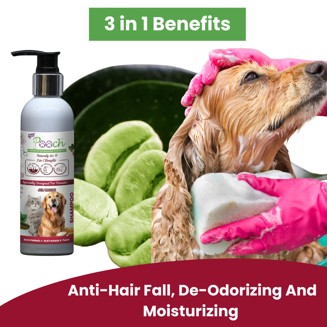 Pooch Nourishing Female Shampoo - 200ml