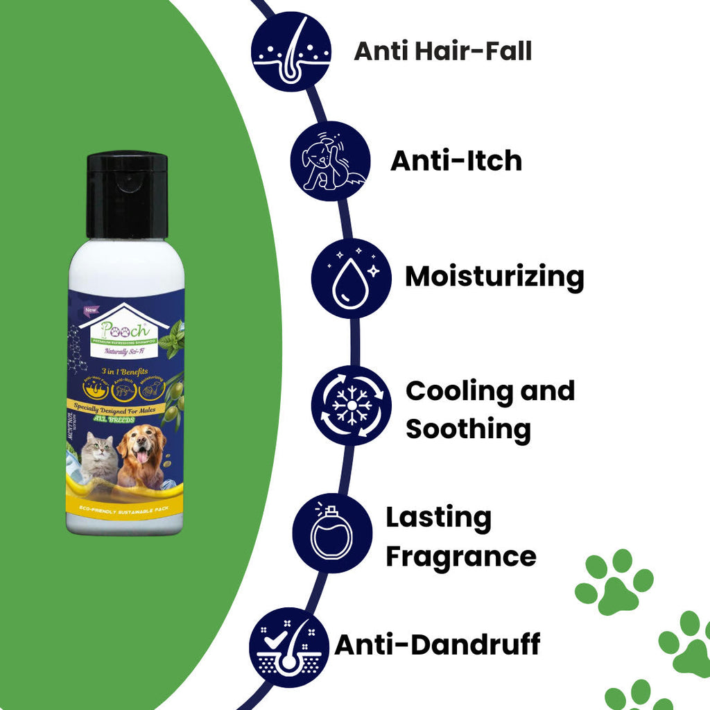 شامبو بووتش المنعش للذكور - 50ml