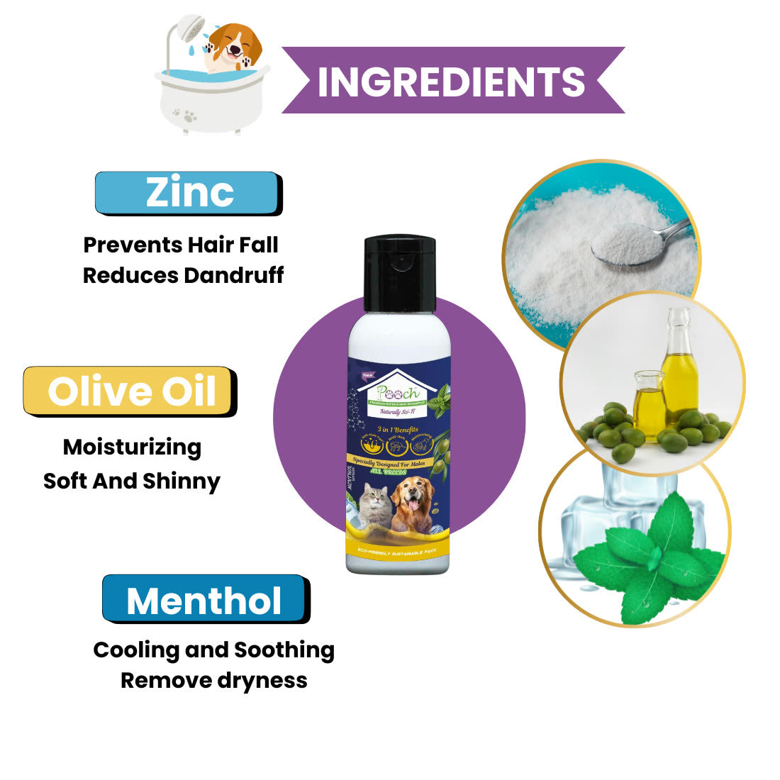 شامبو بووتش المنعش للذكور - 50ml
