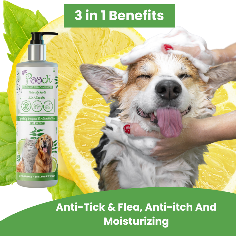 Pooch Anti Tick Shampoo - 400ml