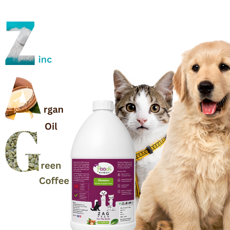 Pooch Nourishing Female Shampoo - 5L