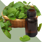 فرفوم بووتش (للذكور) - 130ml