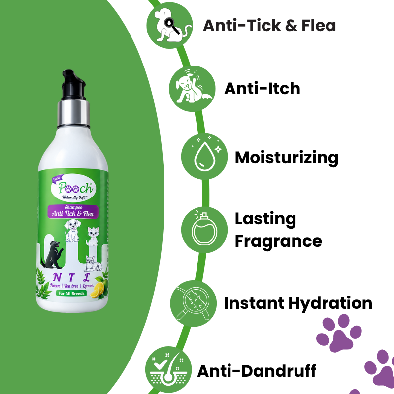 شامبو بووتش المضاد للقراد - 250ml