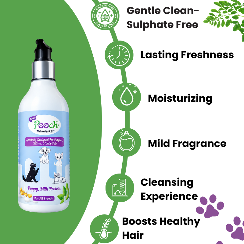 Pooch Caring Shampoo (Sulphate Free) Puppies - 250ml