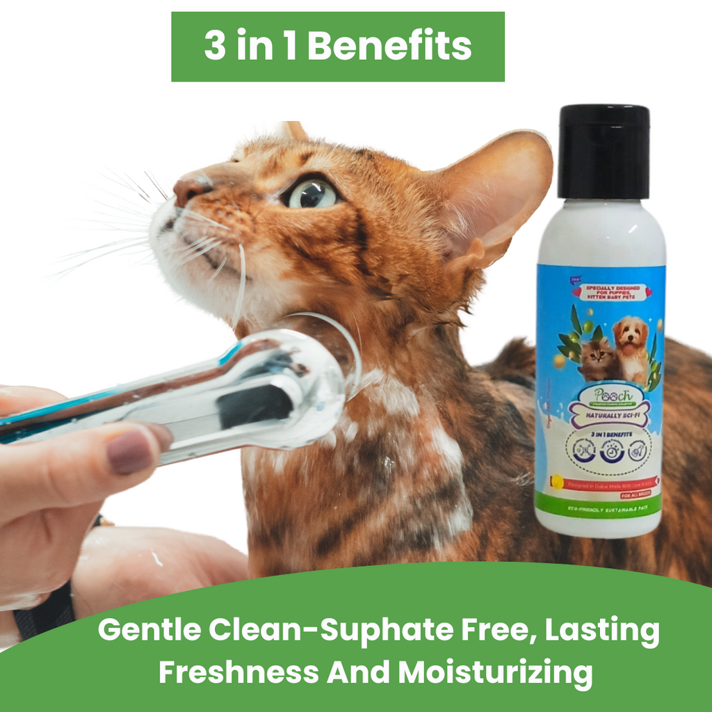 Pooch Caring Shampoo (Sulphate Free) Puppies - 50ml (Pack of 2)