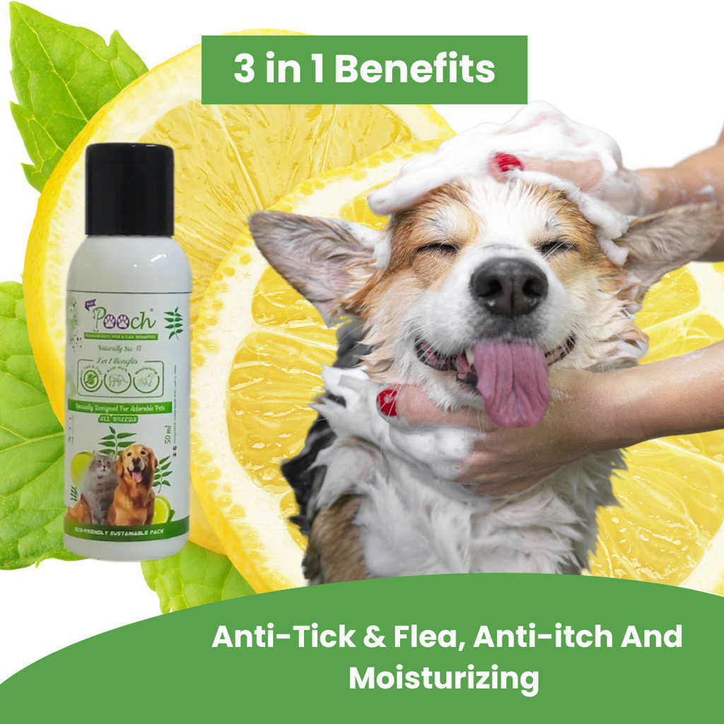 Pooch Anti Tick Shampoo - 50ml (Pack of 2)