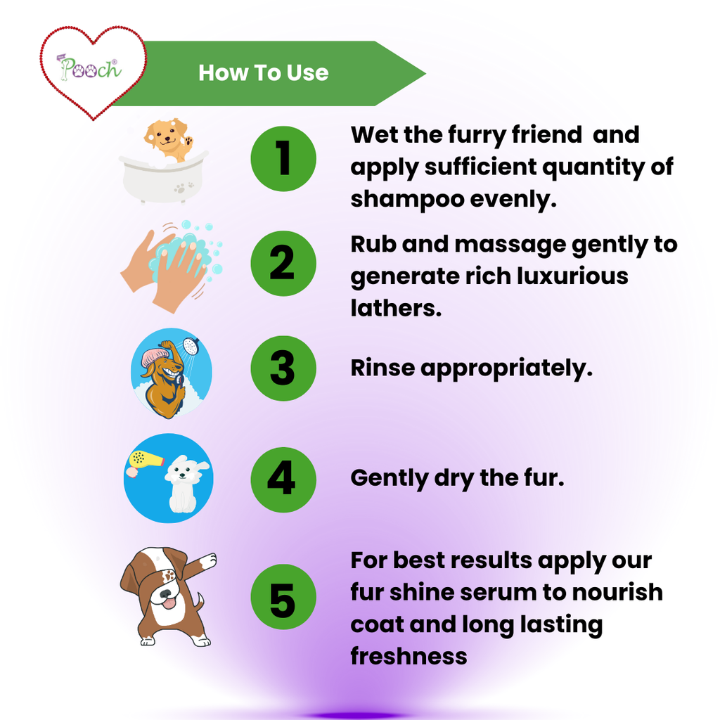 Pooch Anti Tick Shampoo - 50ml (Pack of 2)