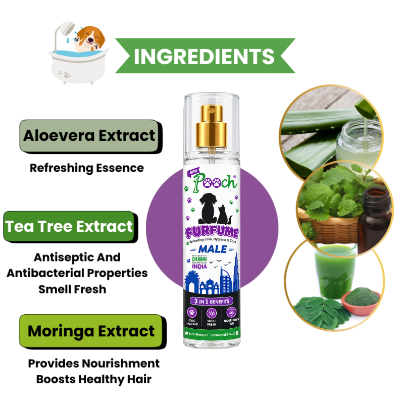 فرفوم بووتش (للذكور) - 130ml