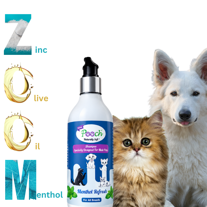 Pooch Refreshing Male Shampoo - 250ml
