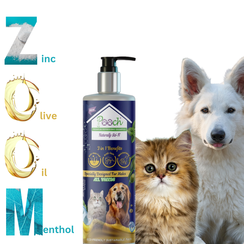 شامبو بووتش المنعش للذكور - 400ml