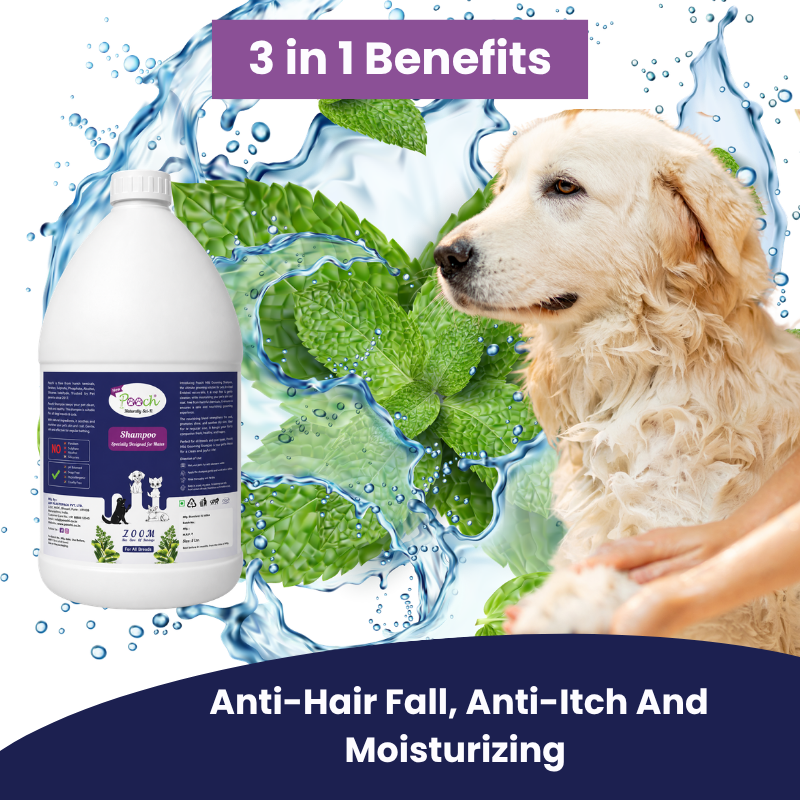 Pooch Nourishing Male Shampoo - 5L