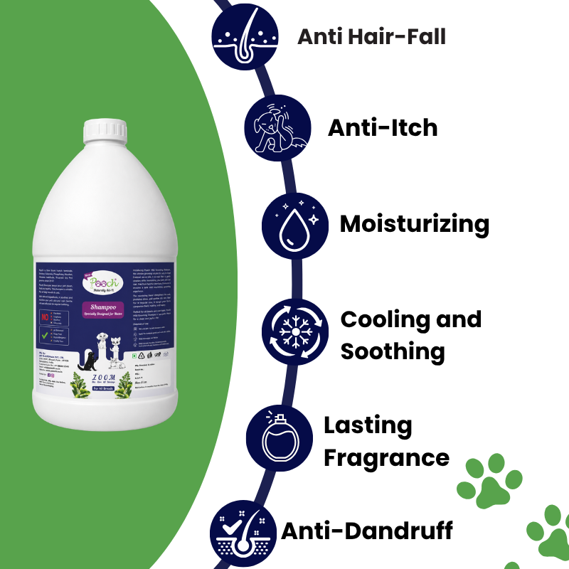 Pooch Nourishing Male Shampoo - 5L