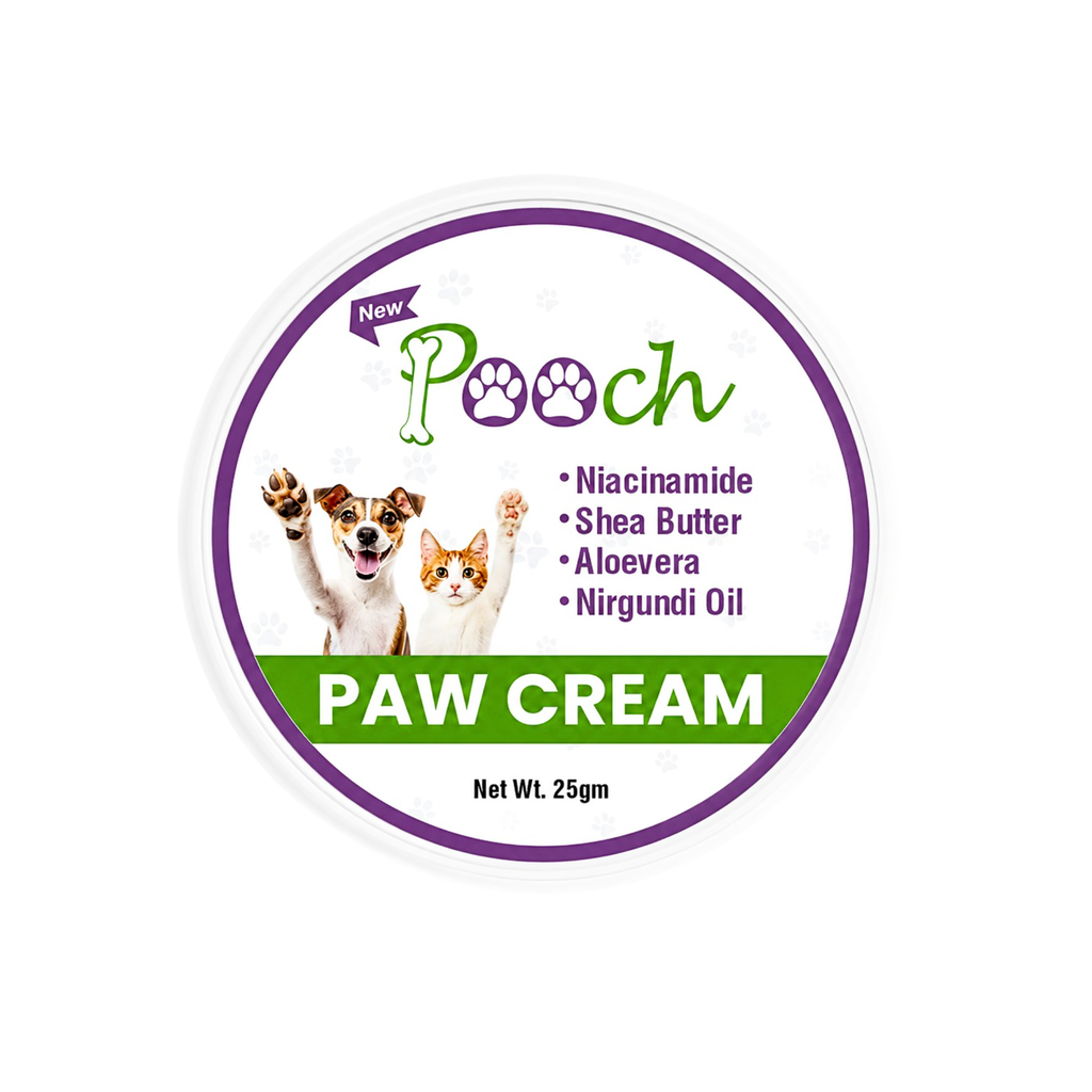 Pooch Paw Cream - 25g